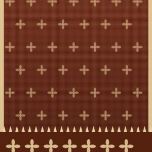 Brick Cotton saree - The Sarees Trunk