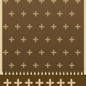 Golden Hour Tissue saree - The Sarees Trunk