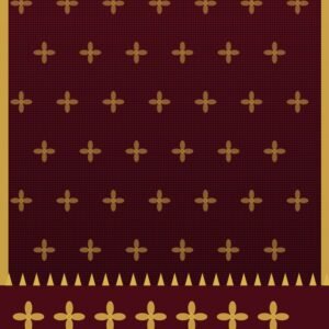 Roshan Rang Banarasi saree - The Sarees Trunk
